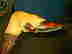 item-109782310=7