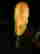 item-109782310=9