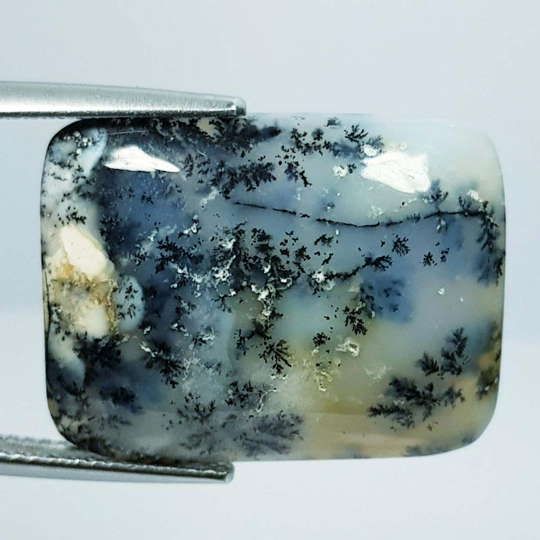 19.35 ct Natural Dendrite Opal (1 of 4)