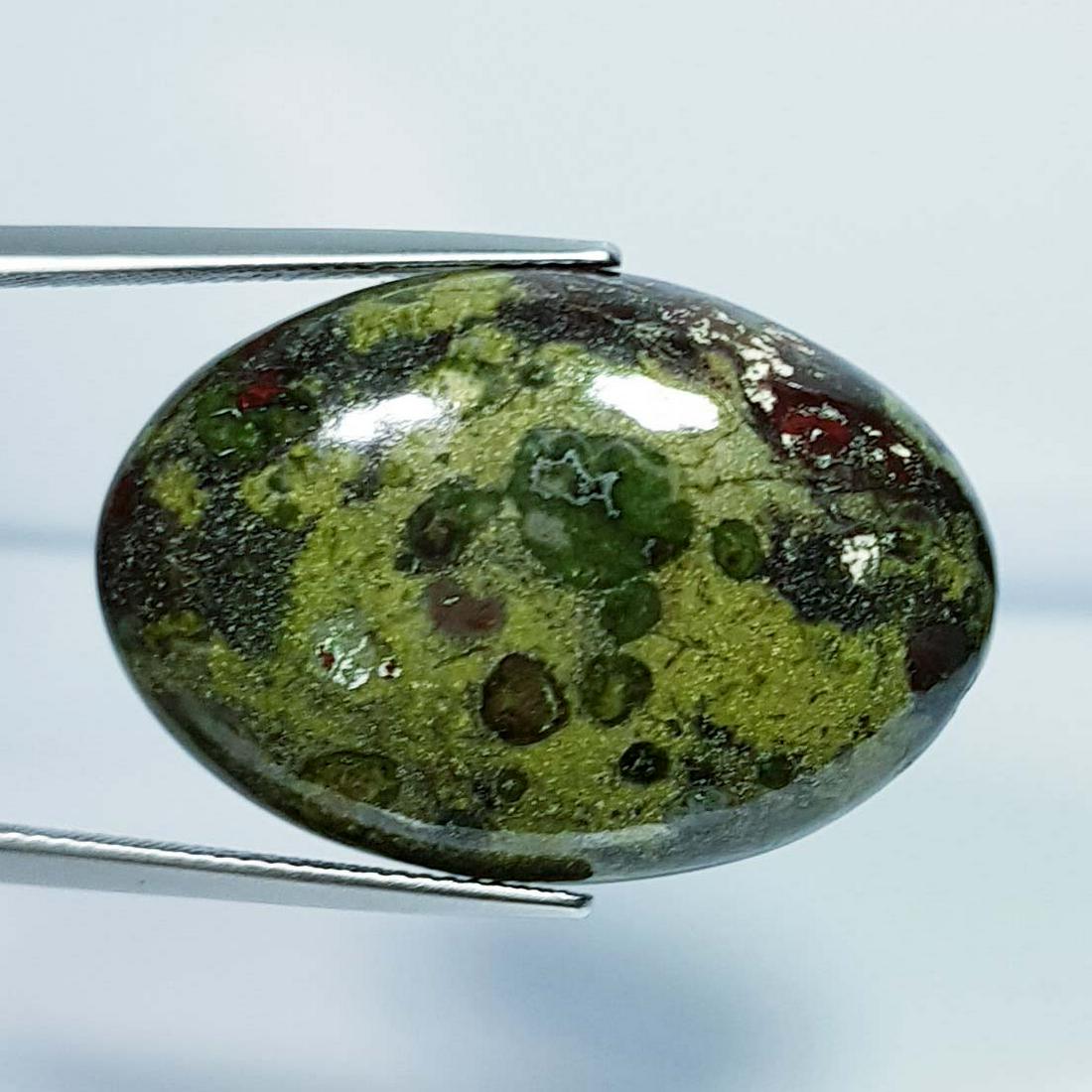 39.10 Ct Natural Dragon Jasper (1 of 5)