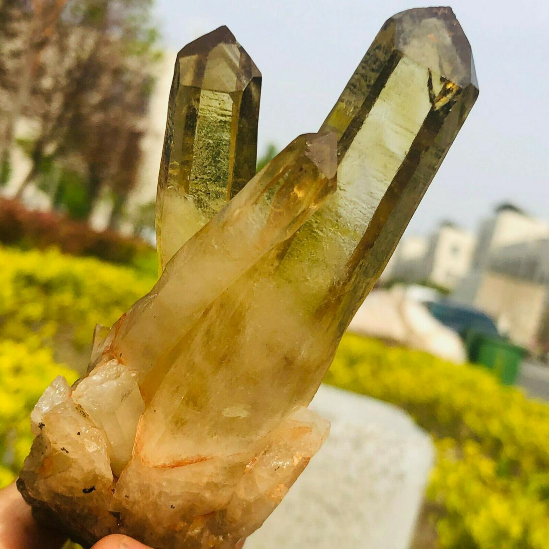 197g Natural citrine Crystal quartz Cluster Mineral (1 of 7)