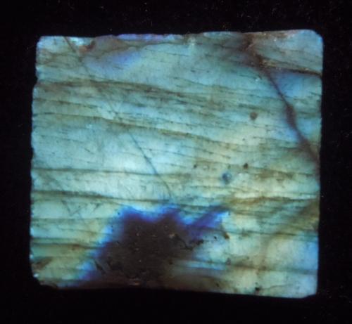 9.01 GRAM IRIDESCENT LABRADORITE: Title: 9.01 GRAM IRIDESCENT LABRADORITE Origin: Ampanihi, Atsimo Andrefana, Madagascar Size: 2.5x1.5x0.5 cm / 9.01 gram Description: iridescent, multicolor & translucent labradorite Reserve: $3.00 Shi