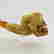 item-110277113=4