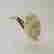 item-110277118=2