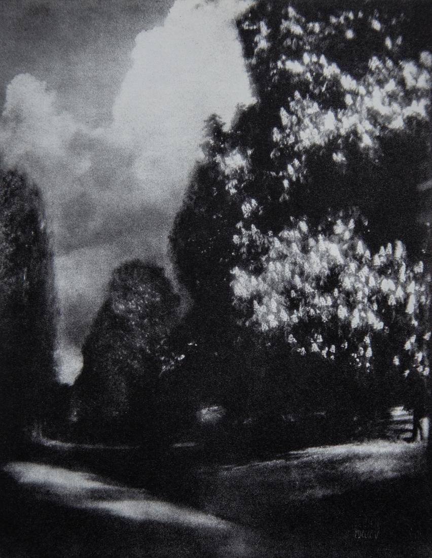 EDWARD STEICHEN - Horse-chestnut Trees, 1904 (1 of 1)