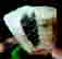item-110686661=6