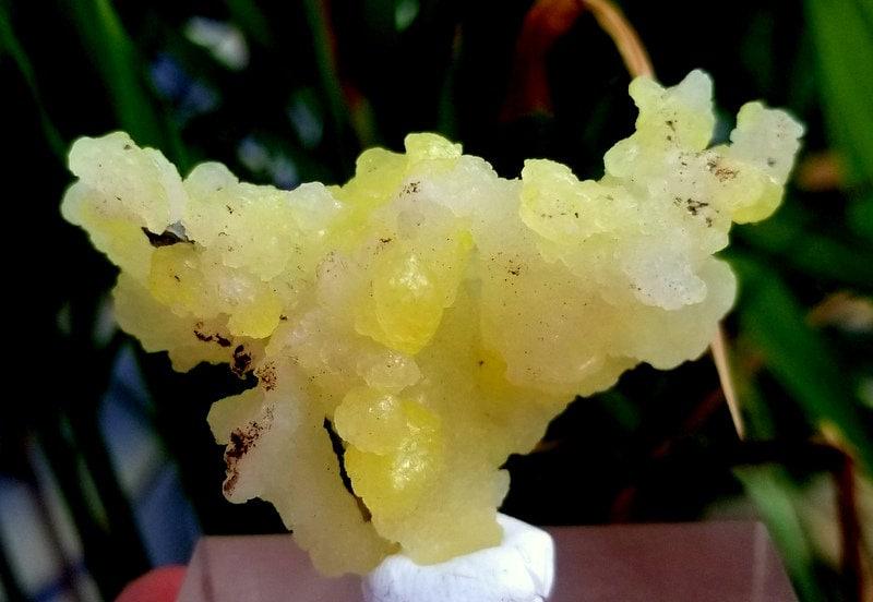 28 Gram Beautiful Natural Yellow Brucite Specimen From (1 of 8)