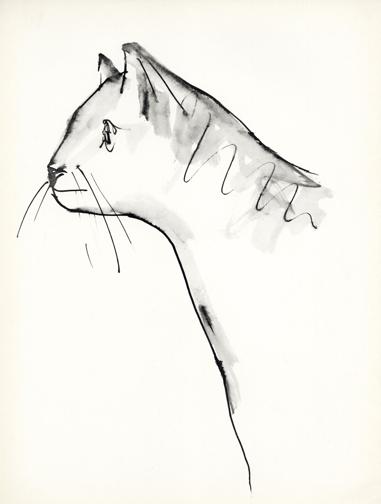 Pablo Picasso lithograph "Un chat" (1 of 1)