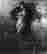 item-110734381=2
