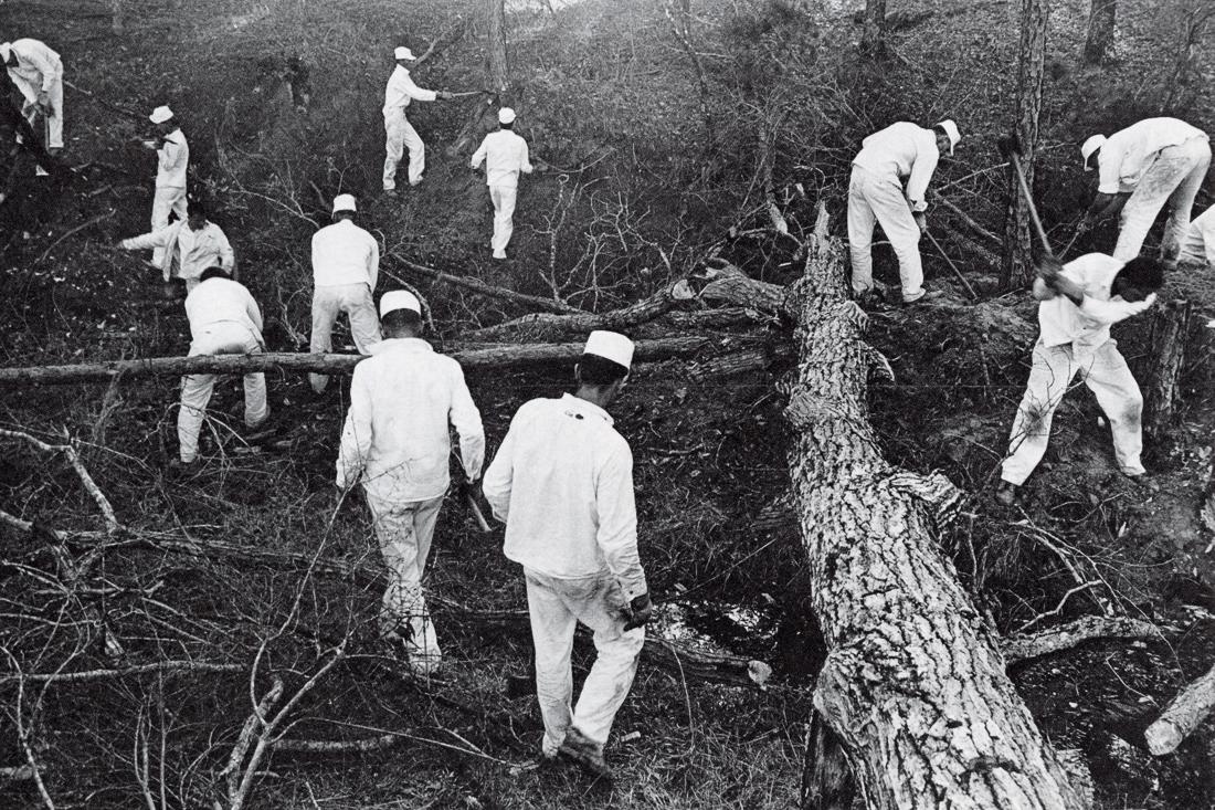 DANNY LYON - The Woods, Ellis Prison Farm, TX, 1968: Artist: Danny Lyon Title: The Woods, Ellis Prison Farm, Texas, 1968 Medium: Photo Litho, 1976, USA Dimensions: 9.7x6.5" Description: Heat Wax Mounted on 11x14" Conservation Board Artist Bio: Danny Lyo