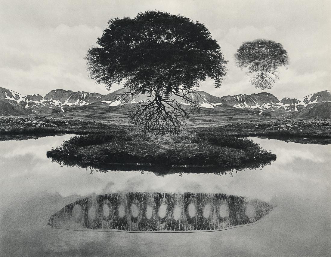 JERRY UELSMANN - Untitled, 1969 (1 of 1)