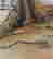 item-111141989=6
