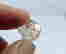 item-111221528=4