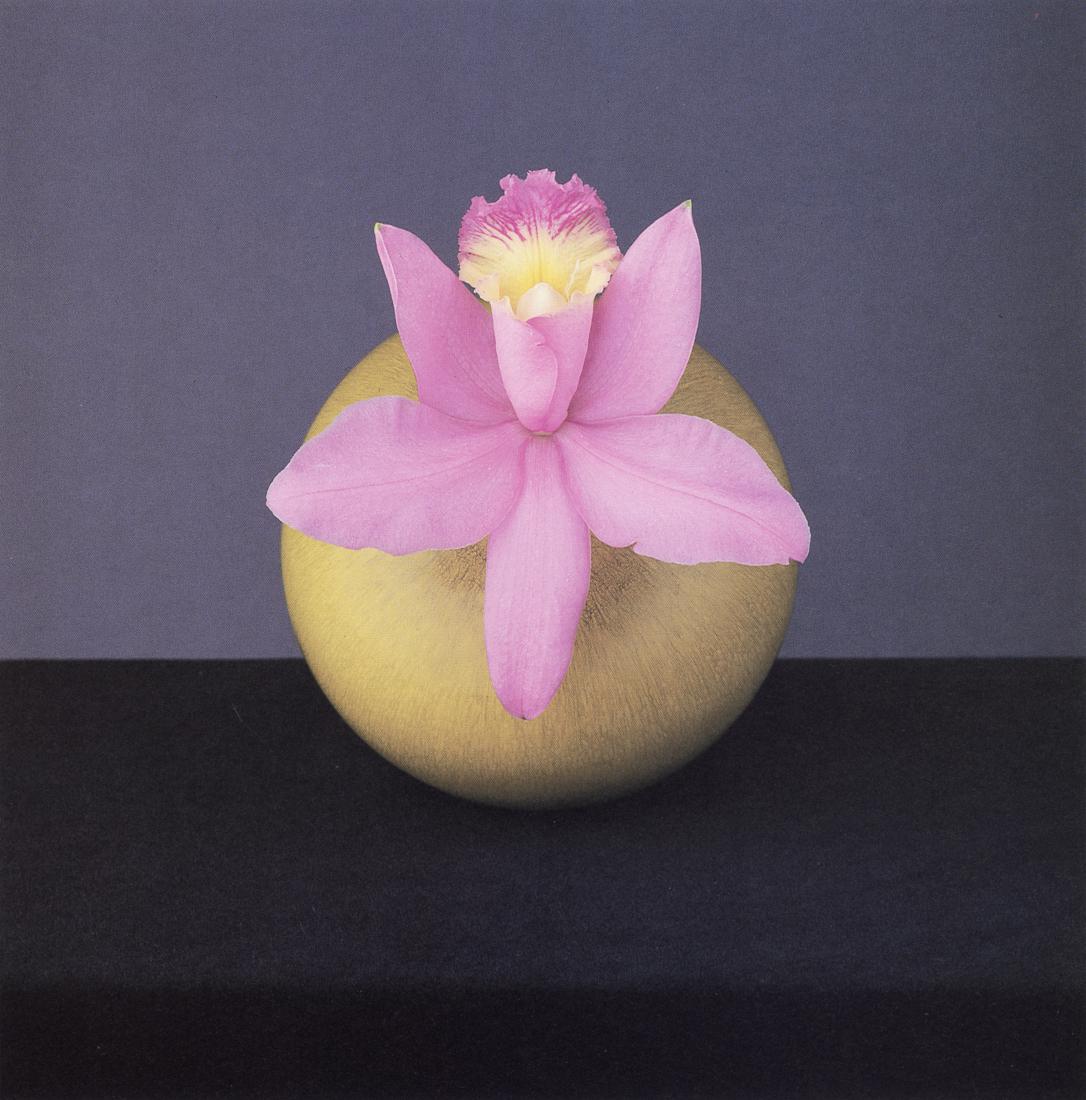 ROBERT MAPPLETHORPE - Orchid, 1988 (1 of 1)