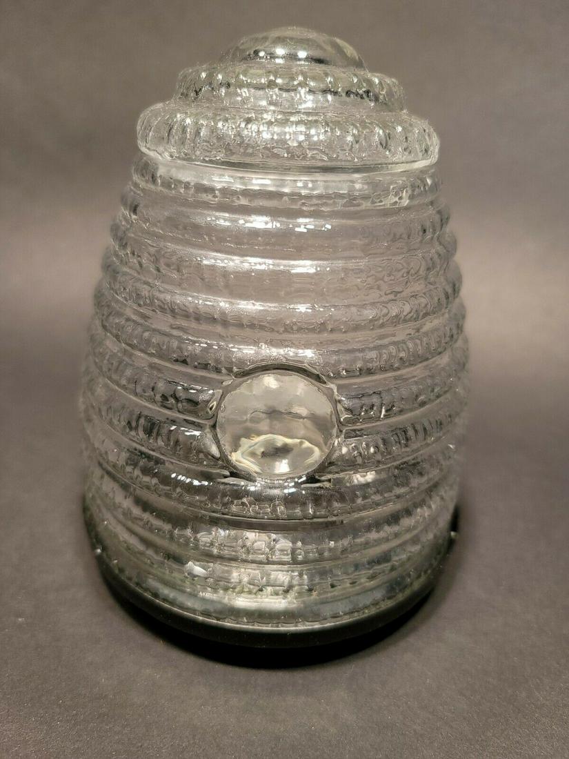 Clear Glass Table Top Fly trap (1 of 20)