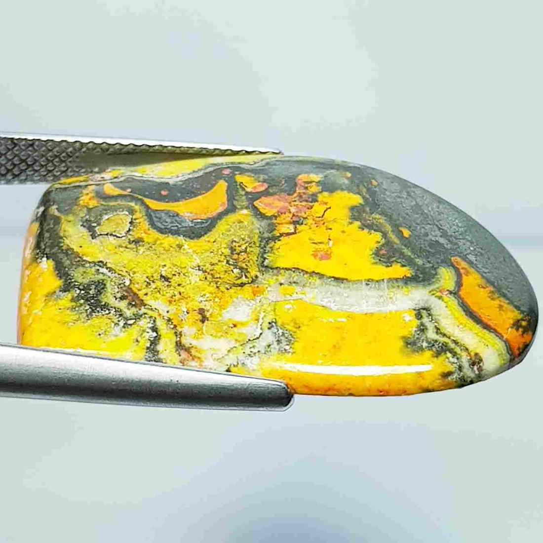 23.73 ct Natural Bumble Bee Jasper: No Reserve! Title: 23.73 ct Natural Bumble Bee Jasper Color/Clarity: Opaque Gemstones: Loosegemstone Carat Weights: 23.73 Size/Dimensions: 31.50 x 20.30 x 4.30 Additional Information: Fancy - Brazil S