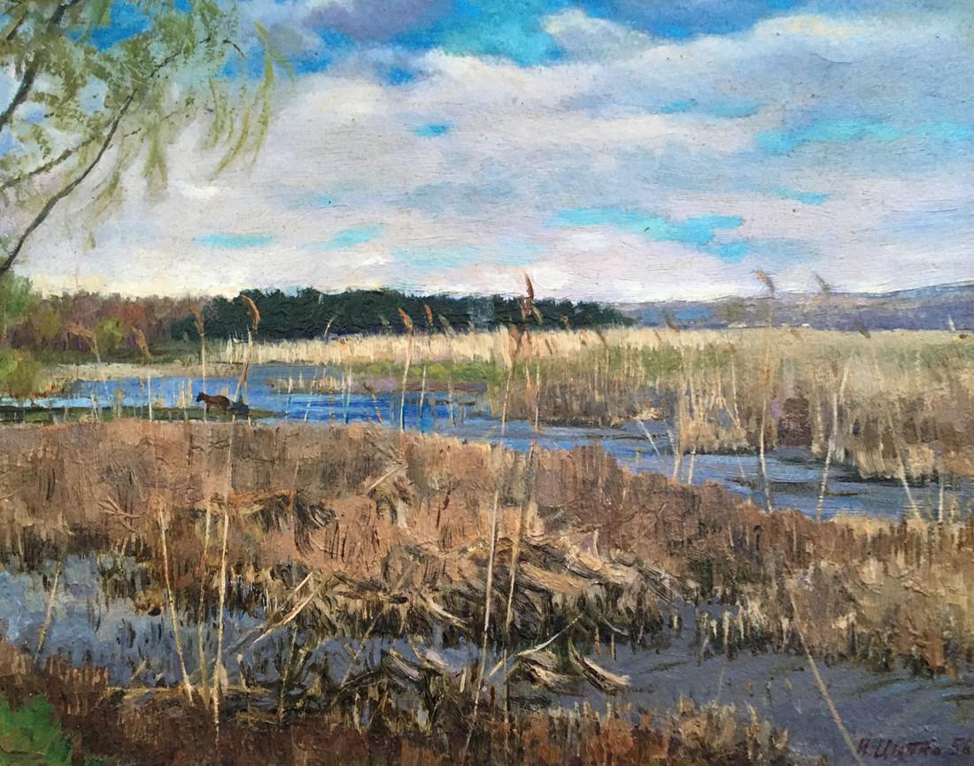 Oil painting Natural landscape Tsyupka Ivan Kirillovich (1 of 8)