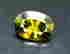 item-111337250=2