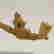 item-111620014=5