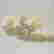 item-111620068=4