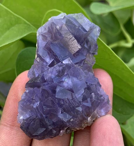40 Gram Well Terminated Natural Color Change Fluorite: Title: 40 Gram Well Terminated Natural Color Change Fluorite Specimen Treatment: Natural Weight: 40 Gram Size/Dimensions: 56x39x18 mm Origin: Pakistan Reserve: $20.00 Shipping: Domestic: Flat-rate of 