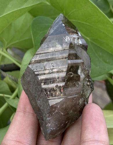108  Gram Well Terminated Natural Smoky Quartz Specimen (1 of 3)