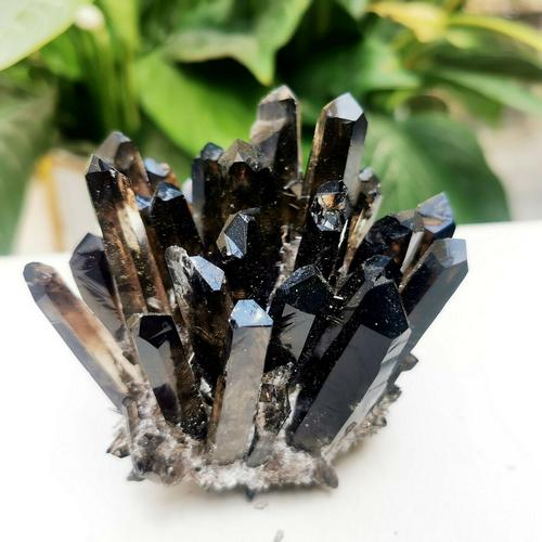 260G New Find BLACK Phantom Quartz Crystal Cluster (1 of 8)