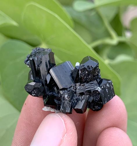 11 Gram Amazing Natural Tourmaline Specimen (1 of 5)