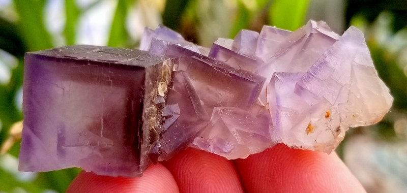 32 Gram Lovely Purpal Phantom Coubic Flourite Specimen: 32 Gram Lovely Purpal Phantom Coubic Flourite Specimen From Baluchistan pakistan size 15mm 32mm 50mm weight 32 Gram Reserve: $20.00 Shipping: Domestic: Flat-rate of $15.00 to anywhere within the conti