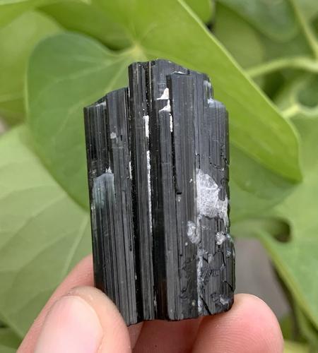 25 Gram Stuninng Natural Tourmaline Specimen: Title: 25 Gram Stuninng Natural Tourmaline Specimen Treatment: Natural Weight: 25 Gram Size/Dimensions: 40x23x13 mm Origin: Pakistan Reserve: $25.00 Shipping: Domestic: Flat-rate of $15.00 to anywhere