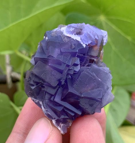 72  Gram Perect Natural Color Change Fluorite Specimen (1 of 5)