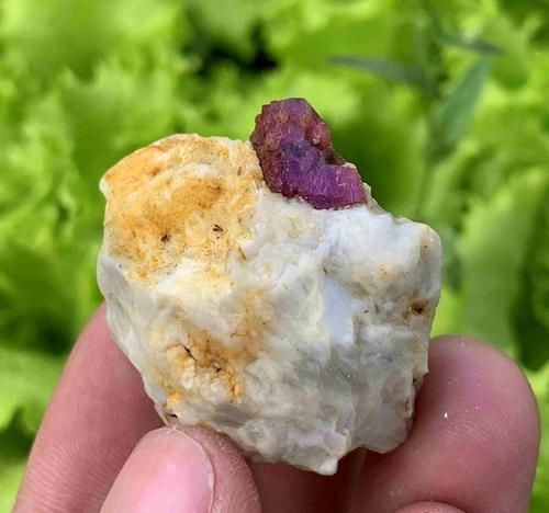 23 Gram Stunning Natural Ruby Specimen (1 of 3)