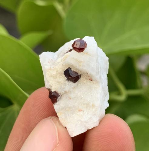 9 Gram Stunning Natural Garnet Specimen (1 of 3)