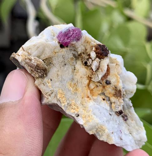 127 Gram Terminated Natural Ruby Specimen (1 of 4)