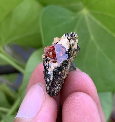 10 Gram Stunning Rare Natural Zircon Specimen (1 of 3)