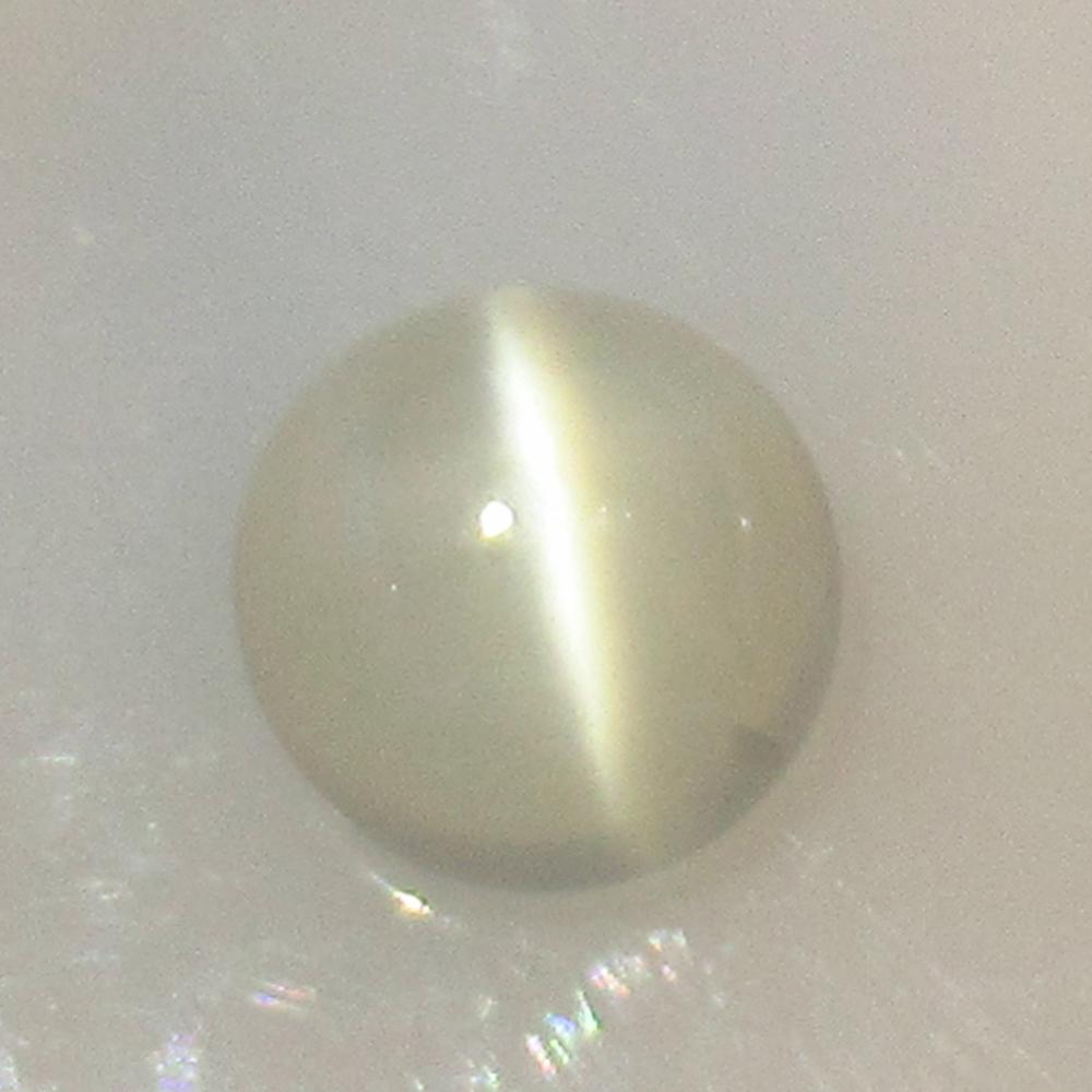 3.71 Ctw Natural Moonstone Round Cab: No Reserve! Title: 3.71 Ctw Natural Moonstone Round Cab Stone Clarity: Transparent Gemstones: Moonstone Carat Weights: 3.71 Size/Dimensions: 9.10 x 9.10 x 6.10 mm Additional Information: Nice Round Ca