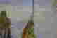 item-111792912=4