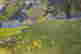 item-111792914=5