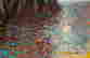 item-111792999=5