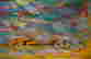 item-111792999=6