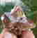item-111853327=5