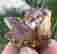 item-111853327=6