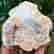 item-111853337=5