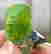 item-111853366=2