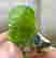 item-111853366=3