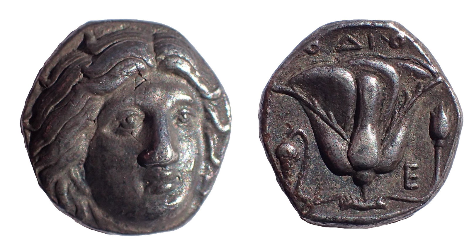 Caria. Rhodes. Didrachm (Circa 330-305 BC).: Title: Caria. Rhodes. Didrachm (Circa 330-305 BC). Date/Period: 330 BC Origin: Asia Minor Dimension: 19 mm. dia. Material: Silver Additional Information: Caria. Rhodes. Didrachm (Circa 330-305 BC). 19