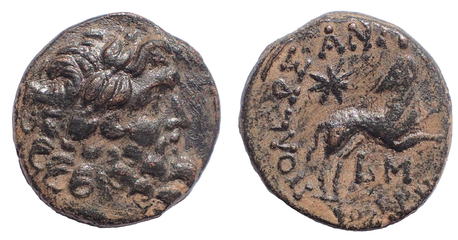 Antioch, time of Augustus, Ae 19 (Star of Bethlehem) (1 of 1)