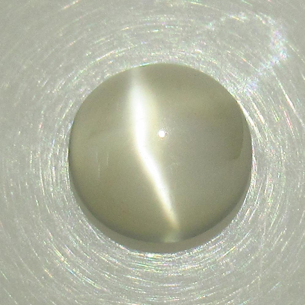 3.82 Ct Natural Moonstone Round Cab: No Reserve! Title: 3.82 Ct Natural Moonstone Round Cab Stone Clarity: Transparent Gemstone: Natural Moonstone Carat Weight: 3.82 Dimensions: 10.20 x 10.20 x 5.30 mm Additional Information: Nice Round