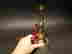 item-112371686=6