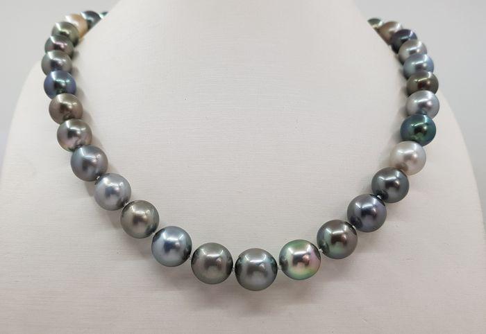 8.5x12mm Multi Coloured Tahitian Pearls - 14 kt. White (1 of 8)